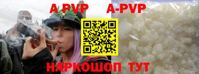 индика Камышлов