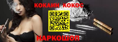 индика Камышлов