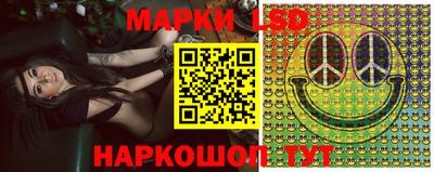 индика Камышлов