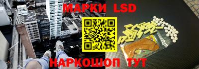 индика Камышлов