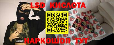 индика Камышлов