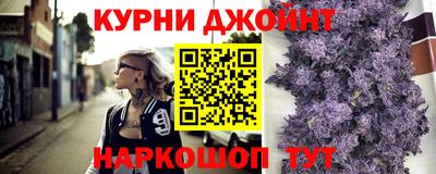 индика Камышлов