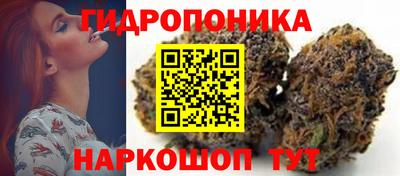 стафф Кандалакша