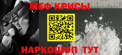 индика Камышлов