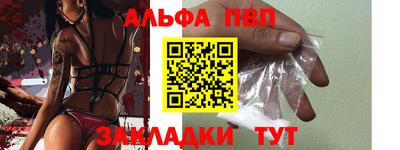 индика Камышлов