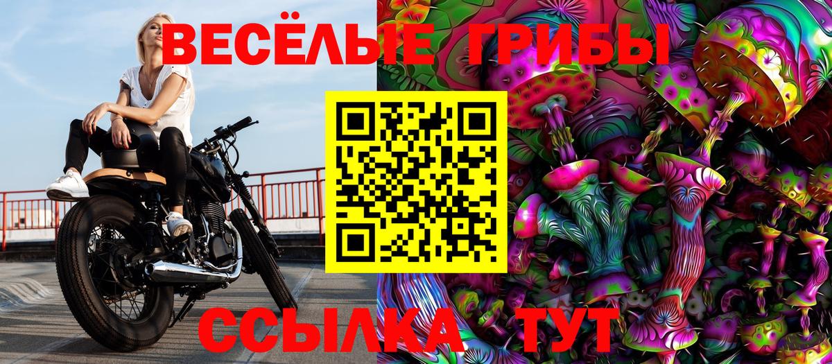 Галлюциногенные грибы MAGIC MUSHROOMS Кудымкар