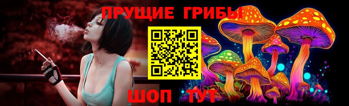 Псилоцибиновые грибы Psilocybe  Вход с VPN  Кудымкар 